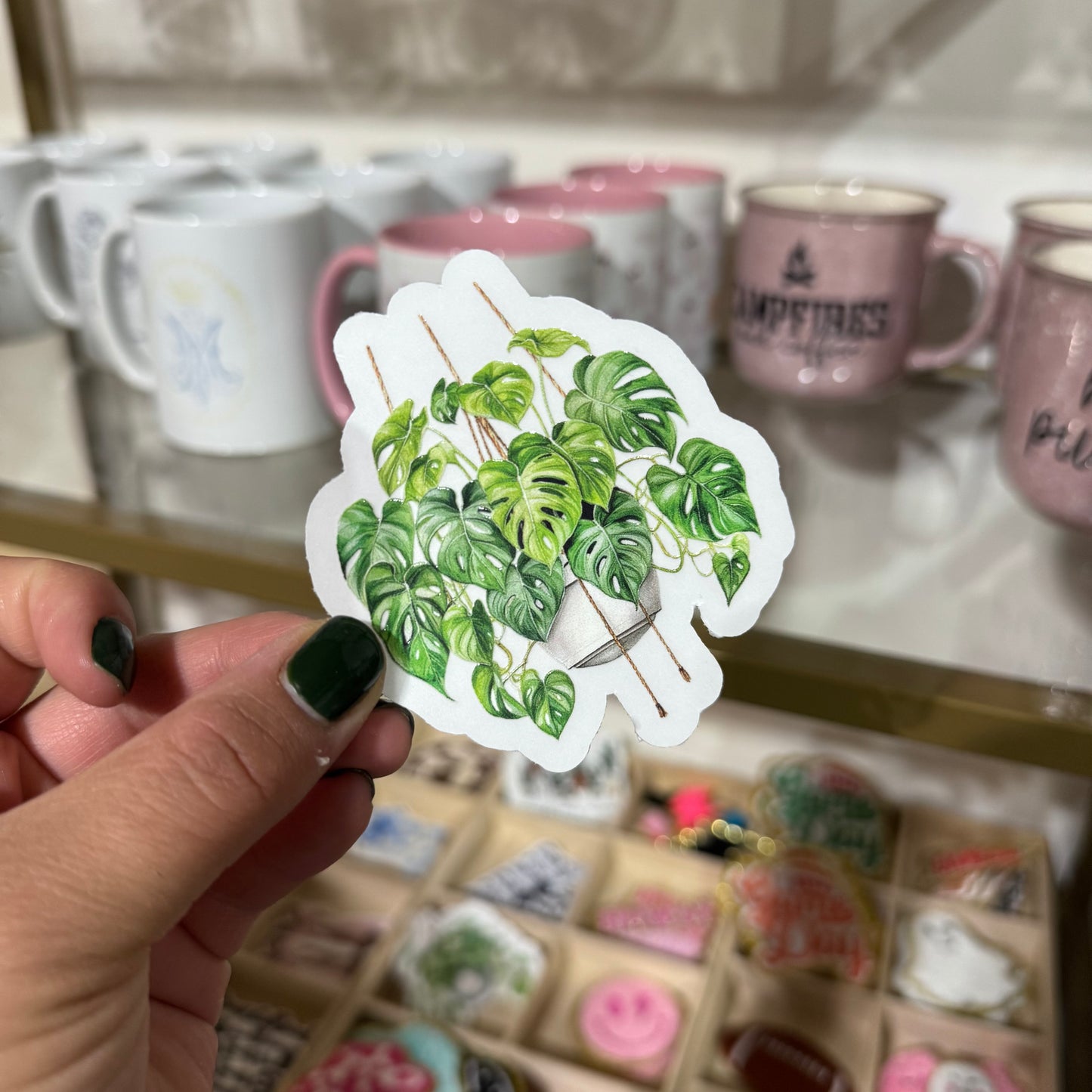 Monstera Sticker