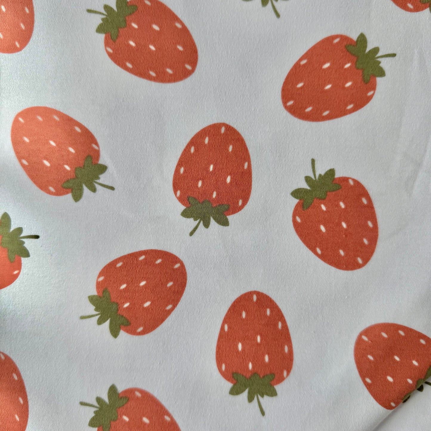 Stretchy Carseat Cover