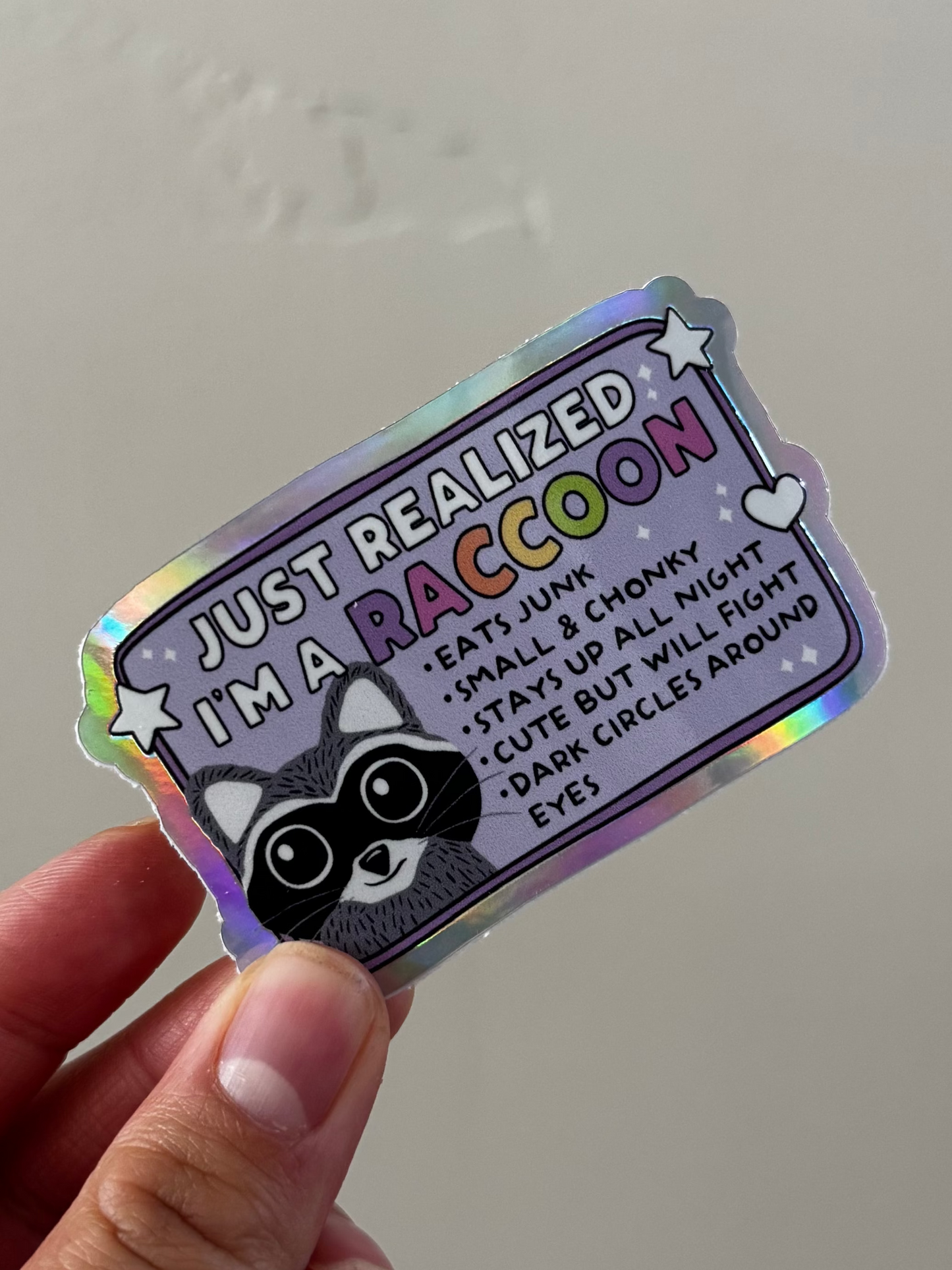 Raccoon Sticker
